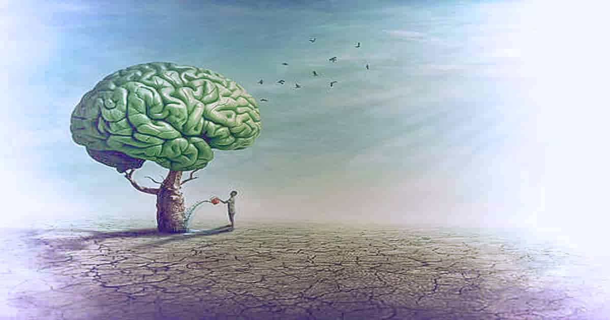 meditate on waking